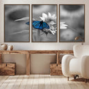 Blue Butterfly Black and White Canvas Wall Art by MyGreatCanvas | Canvas Wall Art Prints | Photo Prints & Wall Decor