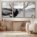 Cattle Wall Art Longhorn Cow Canvas Print