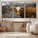 Framed Big Cow Animal Wall Art Canvas Print by MyGreatCanvas | Canvas Wall Art Prints | Photo Prints & Wall Decor
