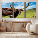 Longhorn and Cow Wall Art, Country Cow Wall Decor Canvas by MyGreatCanvas | Canvas Wall Art Prints | Photo Prints & Wall Decor