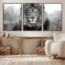 Black and White Lion Canvas Wall Art – Animal Print Artwork