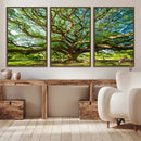 Majestic Oak Tree Wall Art – Serene Nature Canvas Print with