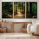 Sunlit Forest Pathway Canvas Print | 3 Panel Large Nature by MyGreatCanvas | Canvas Wall Art Prints | Photo Prints & Wall Decor