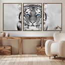 Tiger Canvas Artwork Wall Art Print