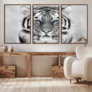 Black and White Tiger Wall Art Animal Canvas Print
