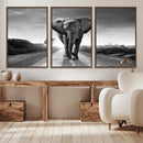 Black and White Elephant Wall Art Canvas Print