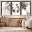 White Horse Wall Art Animal Canvas Print by MyGreatCanvas | Canvas Wall Art Prints | Photo Prints & Wall Decor