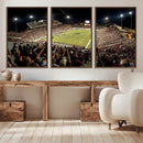 Washington-Grizzly Stadium Canvas Wall Art – Exciting Game