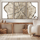 Abstract Wood Tree Ring Wall Art - Ready to Hang Minimalist