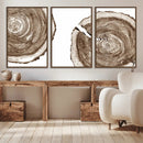 Wood Tree Ring Wall Art Canvas Prints, Tree Rings –