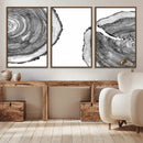 Abstract Large Tree Rings – Minimalist Black and White Wood