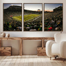 Oregon Stadium Canvas Wall Art - Captivating Game Day Scene