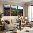 Denver Broncos Football Team Print - Empower Field Mile High