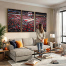 Louisville Cardinals Basketball Print Canvas - Louisville