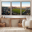 Boca Juniors Soccer Team Print - Buenos Aires Bombonera