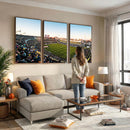 Boca Juniors Soccer Team Print - Buenos Aires Bombonera