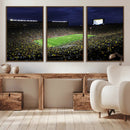 Michigan Wolverines Football Canvas Wall Decor, Football