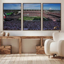 South Carolina Gamecocks Football Team Print - Columbia