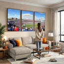 Buffalo Bills NFL Football Team Print - Buffalo Highmark