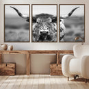 Texas Cow Longhorn Wall Art Canvas Print for Farm House Wall by MyGreatCanvas | Canvas Wall Art Prints | Photo Prints & Wall Decor