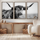 Texas Highland Cow Longhorn Canvas Print - Rustic Farmhouse by MyGreatCanvas | Canvas Wall Art Prints | Photo Prints & Wall Decor