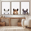 Horse Prints Set, Set of 3 Horse Wall Art, Horses Portraits, by MyGreatCanvas | Canvas Wall Art Prints | Photo Prints & Wall Decor