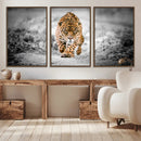 Jaguar Wall Art Canvas Print - Majestic Big Cat in Focused by MyGreatCanvas | Canvas Wall Art Prints | Photo Prints & Wall Decor