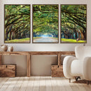 Wormsloe State Plantation Driveway Wall Art Canvas Print by MyGreatCanvas | Canvas Wall Art Prints | Photo Prints & Wall Decor