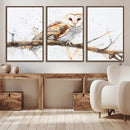 Barn Owl Wall Art on Branch | Stunning Canvas Print for