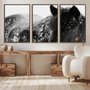 Black Horse in Snow Canvas Print | Winter Horse Wall Art |