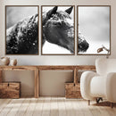 Horse Canvas Print - Winter Horse Snow Wall Art Canvas Print