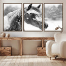 Black Horse Winter Wall Art | Ready to Hang and Framed |