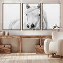 Majestic White Horse Wall Art | Ready to Hang and Framed |