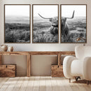 Scottish Highland Cow Wall Art | Black and White Canvas