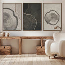 Minimalist Tree Rings Wall Art | Modern Abstract Canvas