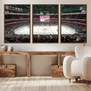 Honda Center California Anaheim Ducks Ice Hockey Stadium