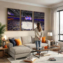 UBS Arena Elmont New York Islanders Ice Hockey Wall Art, UBS