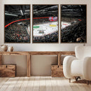 Vaudoise Lausanne Ice Hockey Arena Stadium Wall Art Canvas,