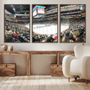 Xcel Energy Center St Paul Minnesota Wild Ice Hockey Stadium