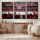 Carolina Hurricanes Ice Hockey Stadium Wall Art, Carolina