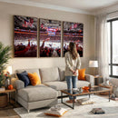Carolina Hurricanes Ice Hockey Stadium Wall Art, Carolina