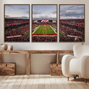 Florida Tampa Raymond James Stadium Wall Art Canvas Print -