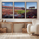 Florida Tampa Raymond James Stadium Wall Art Canvas Print - by MyGreatCanvas | Canvas Wall Art Prints | Photo Prints & Wall Decor