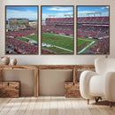 Florida Tampa Raymond James Stadium Wall Art Canvas Print -