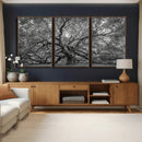 Majestic Angel Oak Tree Black and White Canvas Print – Multi