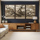 Sepia Framed Angel Oak Tree Wall Art - 3-Panel Canvas