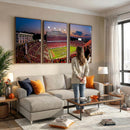 NC State Wolfpack Football Team Print - Raleigh