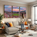Carter-Finley Stadium Art Sunset Game Triple Canvas Wall Art
