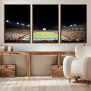 SMU Mustangs Football Team Print - Dallas Gerald J. Ford