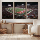 Houston Cougars Football Team Print - Houston TDECU Stadium